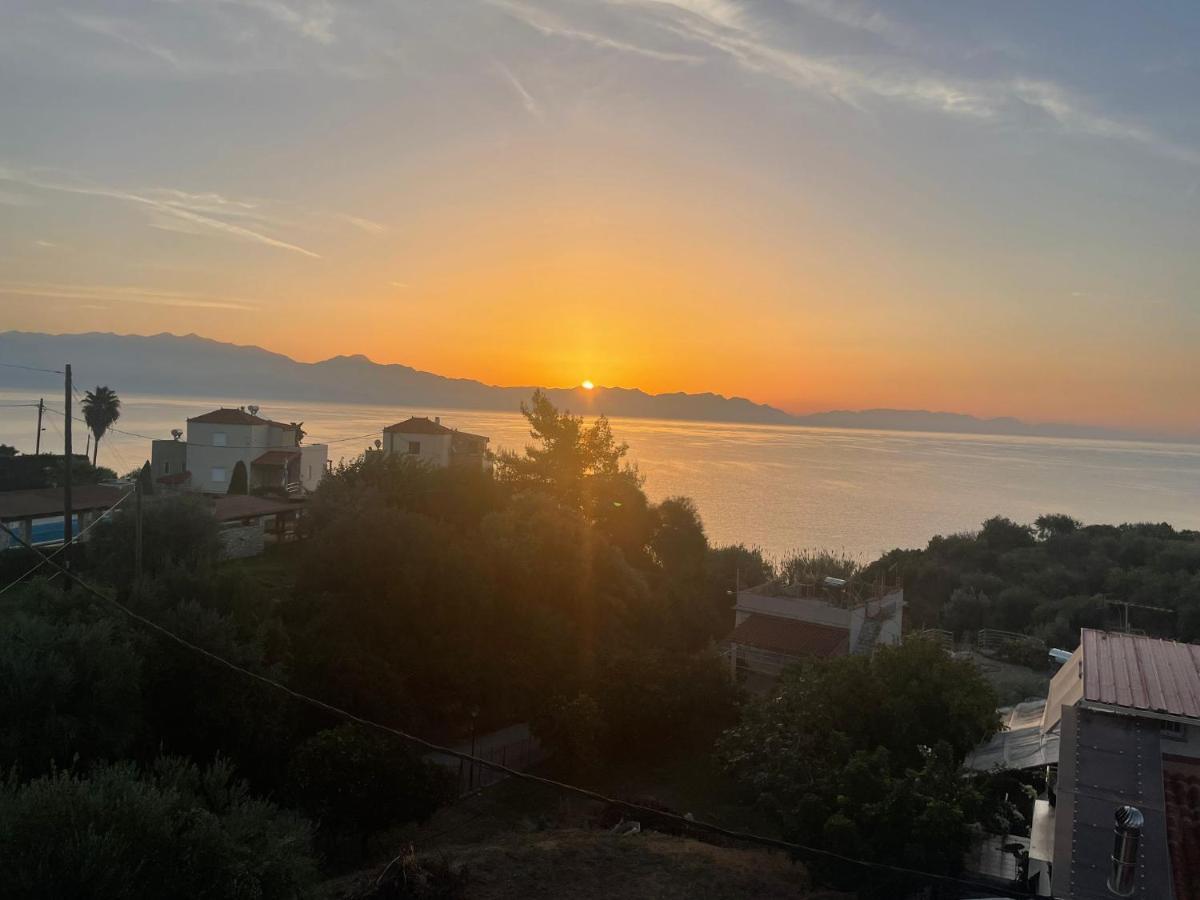 Villa Delfini Hráni Kültér fotó