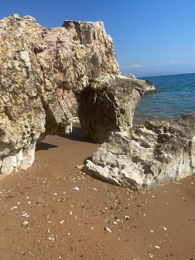 Villa Delfini Hráni Kültér fotó