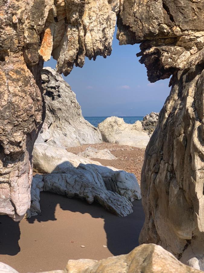 Villa Delfini Hráni Kültér fotó