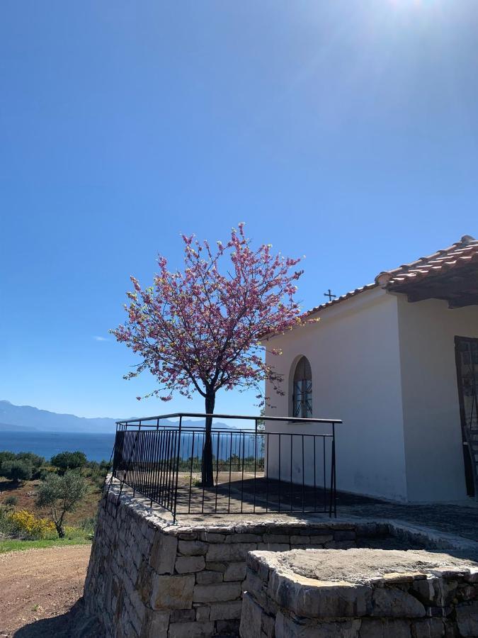 Villa Delfini Hráni Kültér fotó