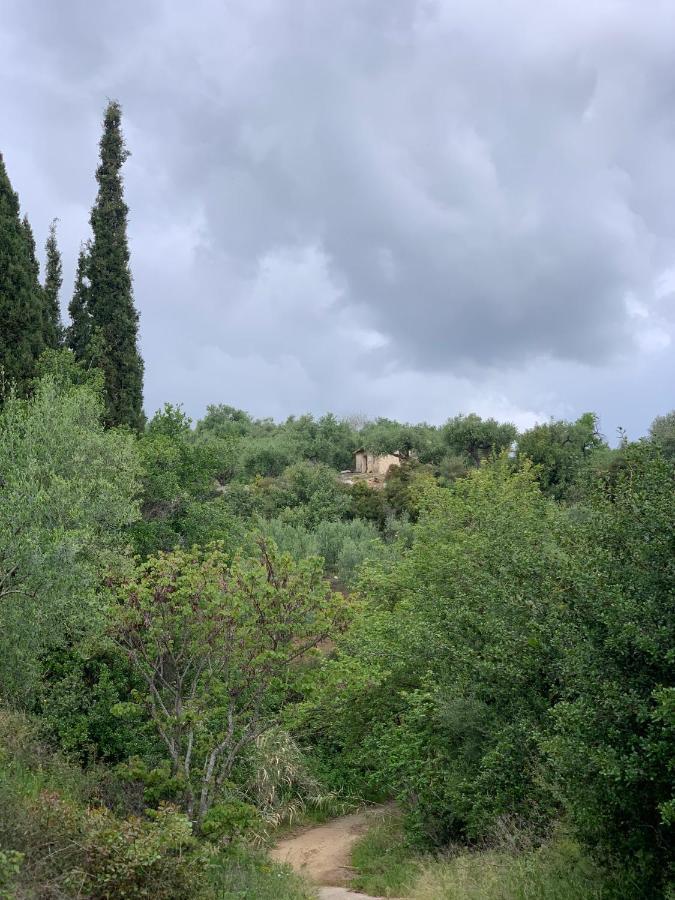 Villa Delfini Hráni Kültér fotó